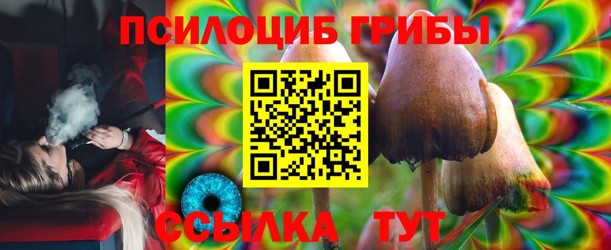 Псилоцибиновые грибы мицелий Кореновск